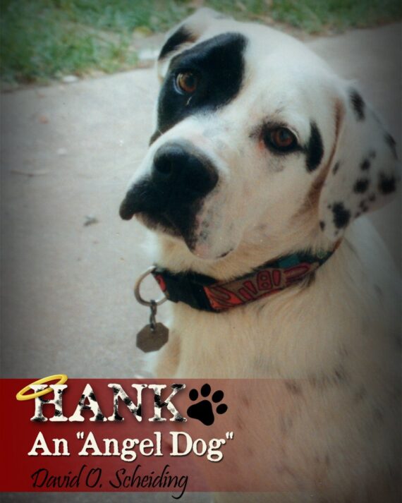 Hank: An "Angel Dog"